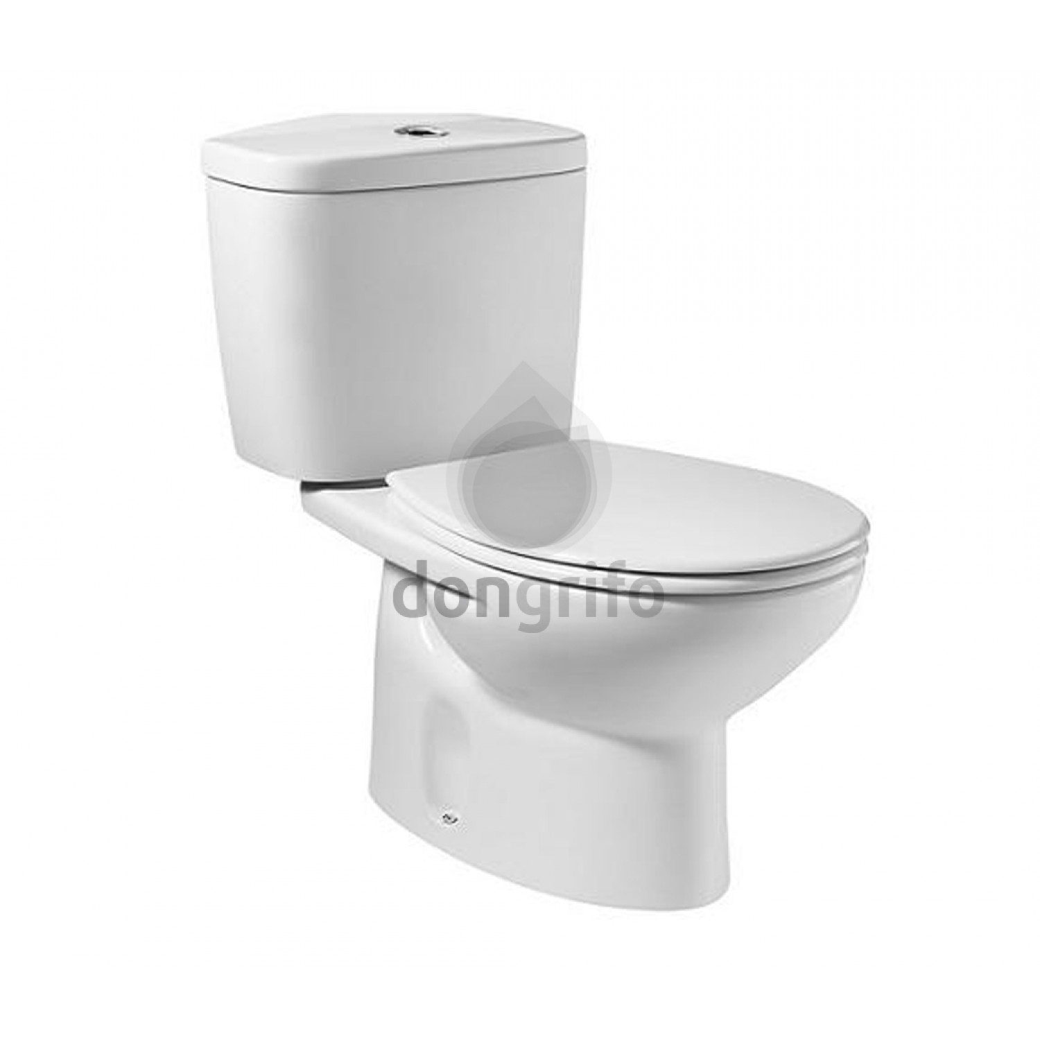 inodoro roca victoria